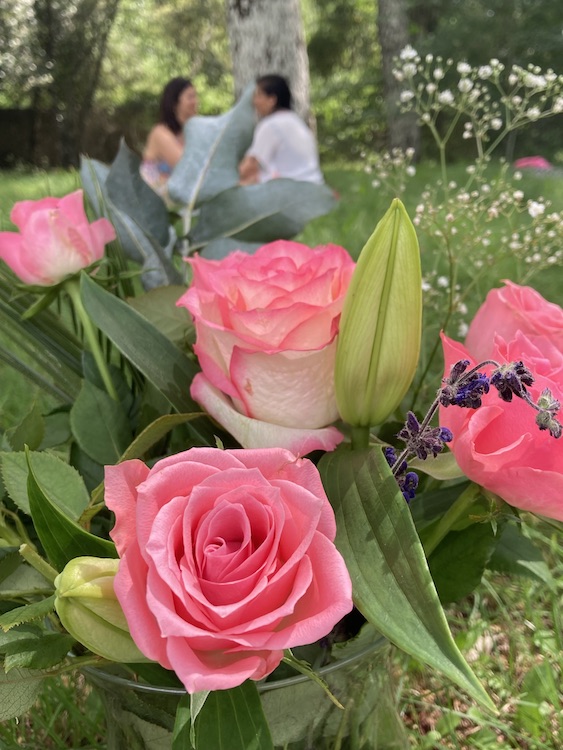 roses en fleur et deux personnes à l'arrière-plan